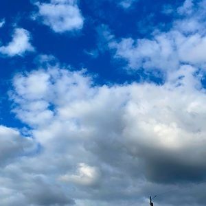 Meet your Posher, Rivelino